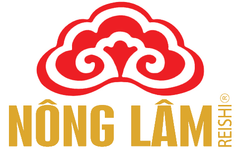 Logo Nấm Linh Chi Nông Lâm