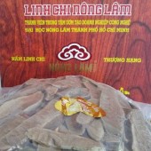 Nấm linh chi Nhật Bản thượng hạng thái lát (250g)