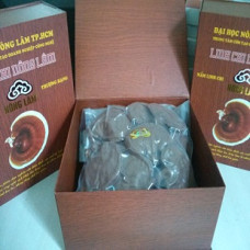 Nấm linh chi Nhật Bản thượng hạng (1kg)