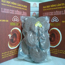 Nấm linh chi đỏ Nhật Bản thượng hạng (500g)